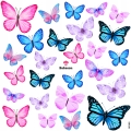 f87a23954afea8e138595fdbcf52