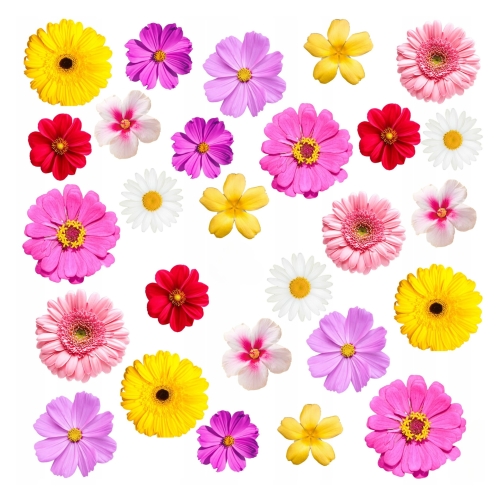 25b026c14877a415778d3da5b23d